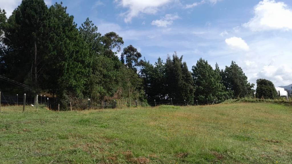 Lote en venta Antioquia Guarne Guarne 3794 m2 Habitaciones 0 Baños 0 Garajes 0 Precio $569205000