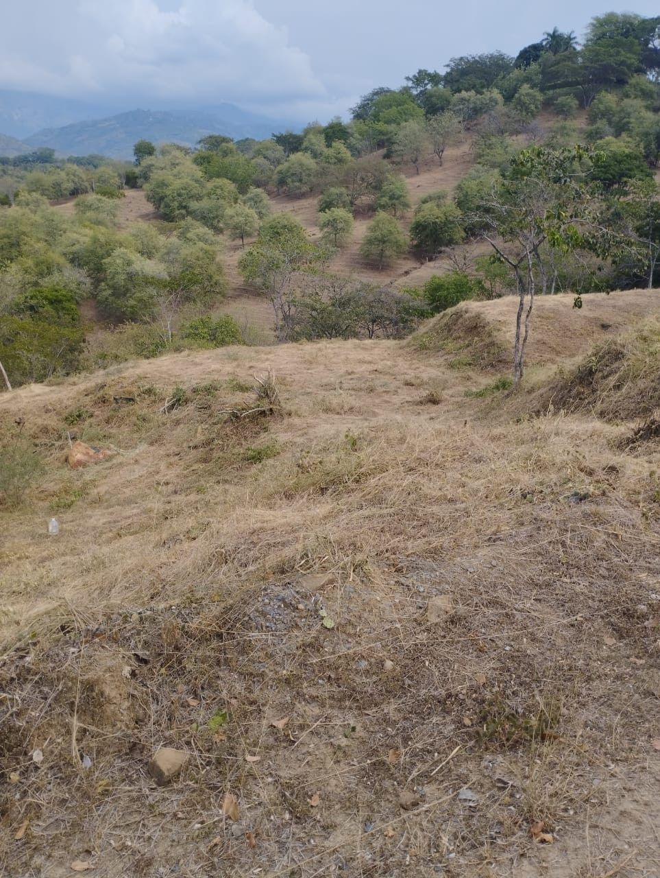 Lote en venta Antioquia Sopetrán Sopetran 11 m2 Habitaciones 0 Baños 0 Garajes 0 Precio $650000000