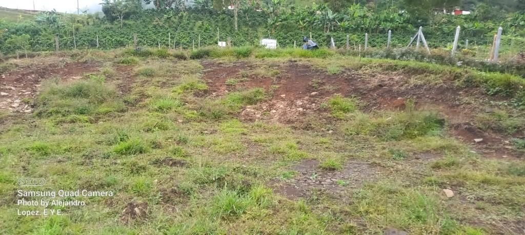 Lote en venta Antioquia Támesis Támesis 2571 m2 Habitaciones 0 Baños 0 Garajes 0 Precio $170000000