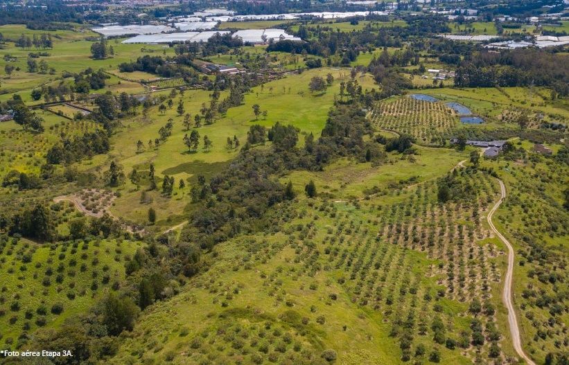 Lote en venta Antioquia La Ceja La Ceja 2600 m2 Habitaciones 0 Baños 0 Garajes 0 Precio $750000000