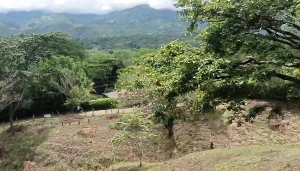 Lote en venta Antioquia Sopetrán Sopetran 6195 m2 Habitaciones 0 Baños 0 Garajes 0 Precio $768000000