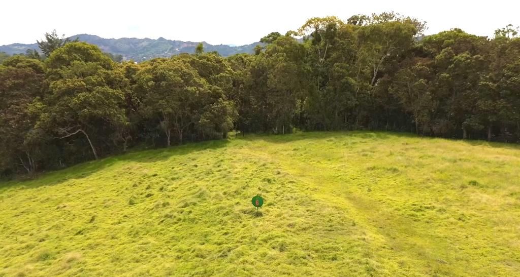 Lote en venta Antioquia La Ceja La Ceja 1210 m2 Habitaciones 0 Baños 0 Garajes 0 Precio $750000000