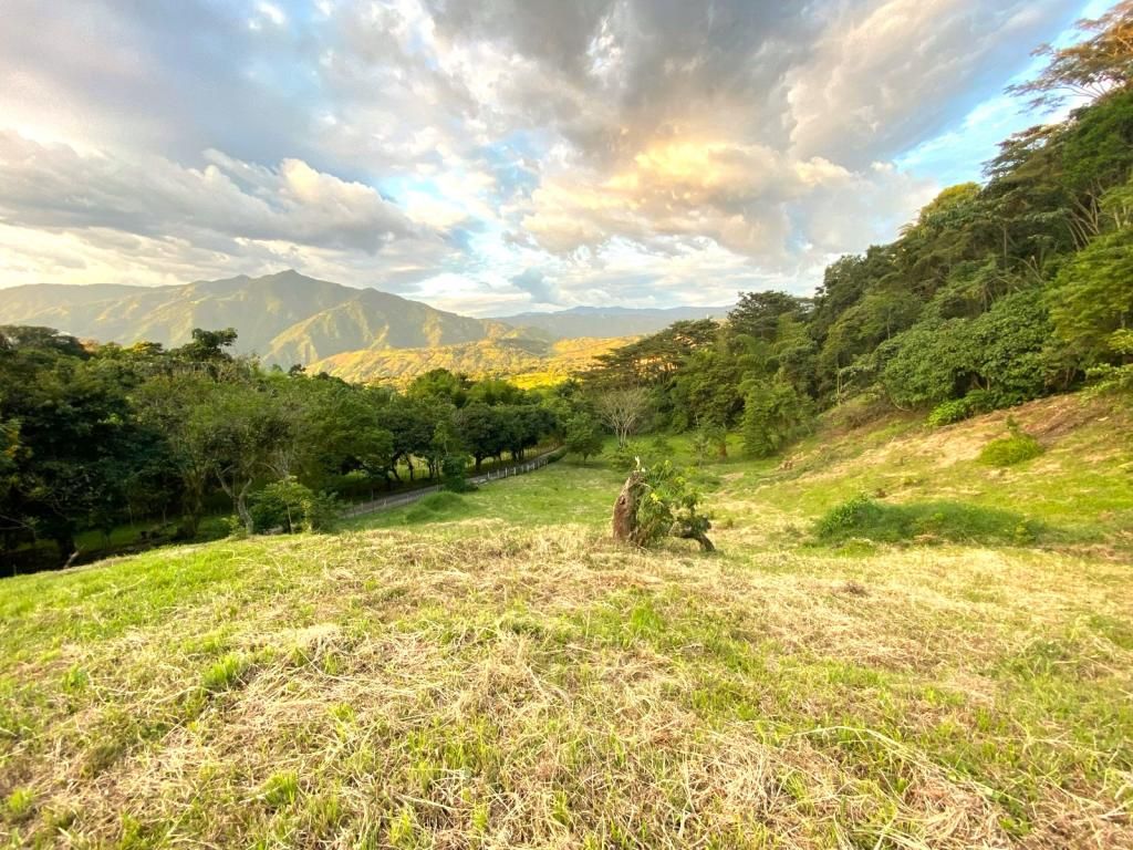 Lote en venta Antioquia Venecia Venecia 0 m2 Habitaciones 0 Baños 0 Garajes 0 Precio $450000000