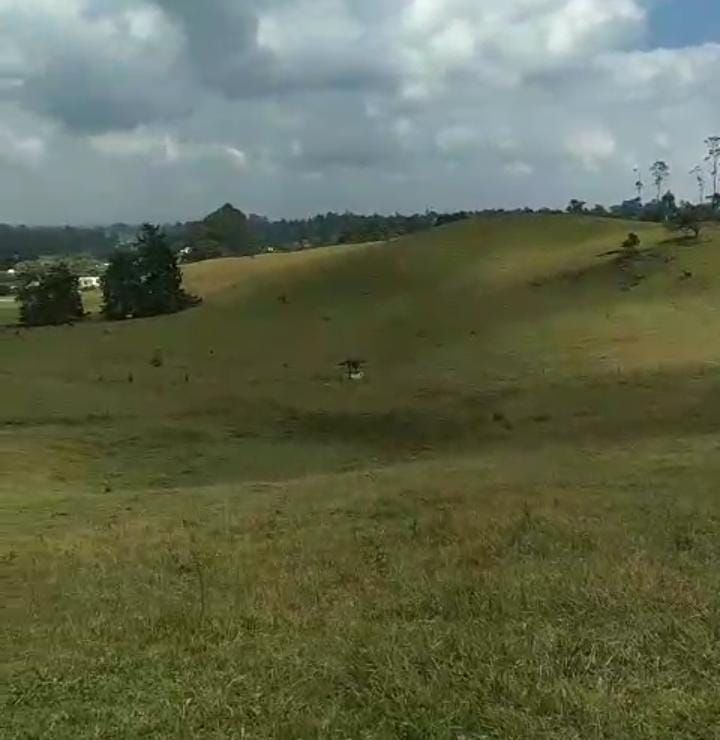 Lote en venta Antioquia El Carmen De Viboral El Centro 217600 m2 Habitaciones 0 Baños 0 Garajes 0 Precio $34816000000