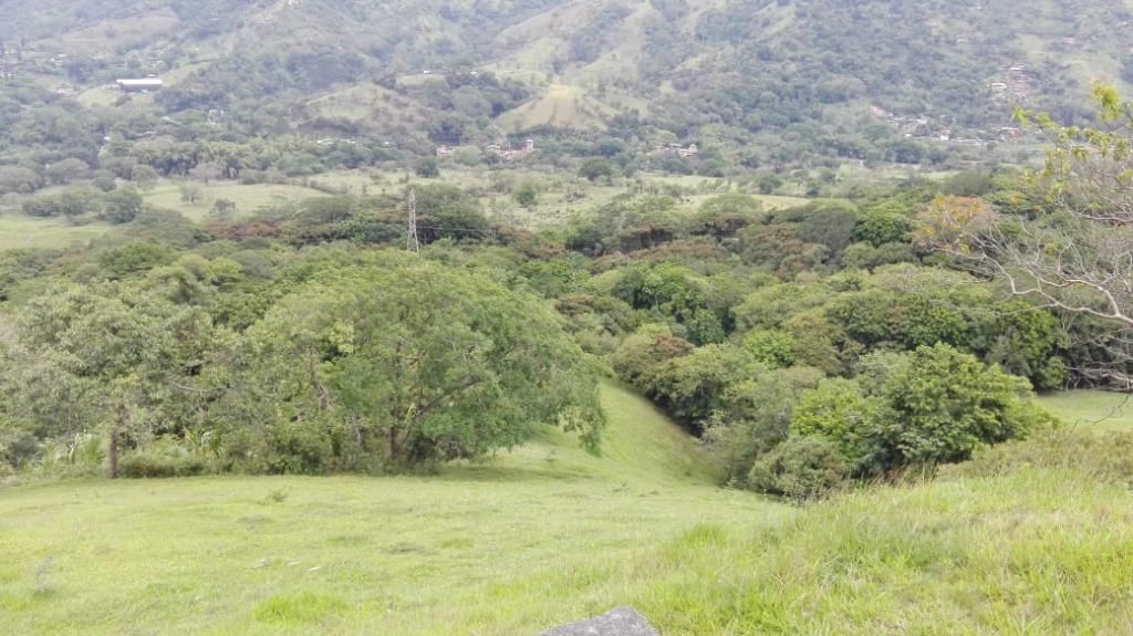 Lote en venta Antioquia Barbosa Barbosa 142000 m2 Habitaciones 0 Baños 0 Garajes 0 Precio $46860000000
