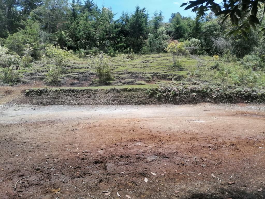 Lote en venta Antioquia El Retiro El Retiro 0 m2 Habitaciones 0 Baños 0 Garajes 0 Precio $1432000000