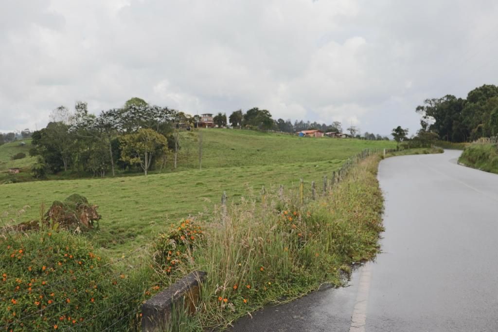 Lote en venta Antioquia Medellín San Pedro 2630 m2 Habitaciones 0 Baños 0 Garajes 0 Precio $342000000