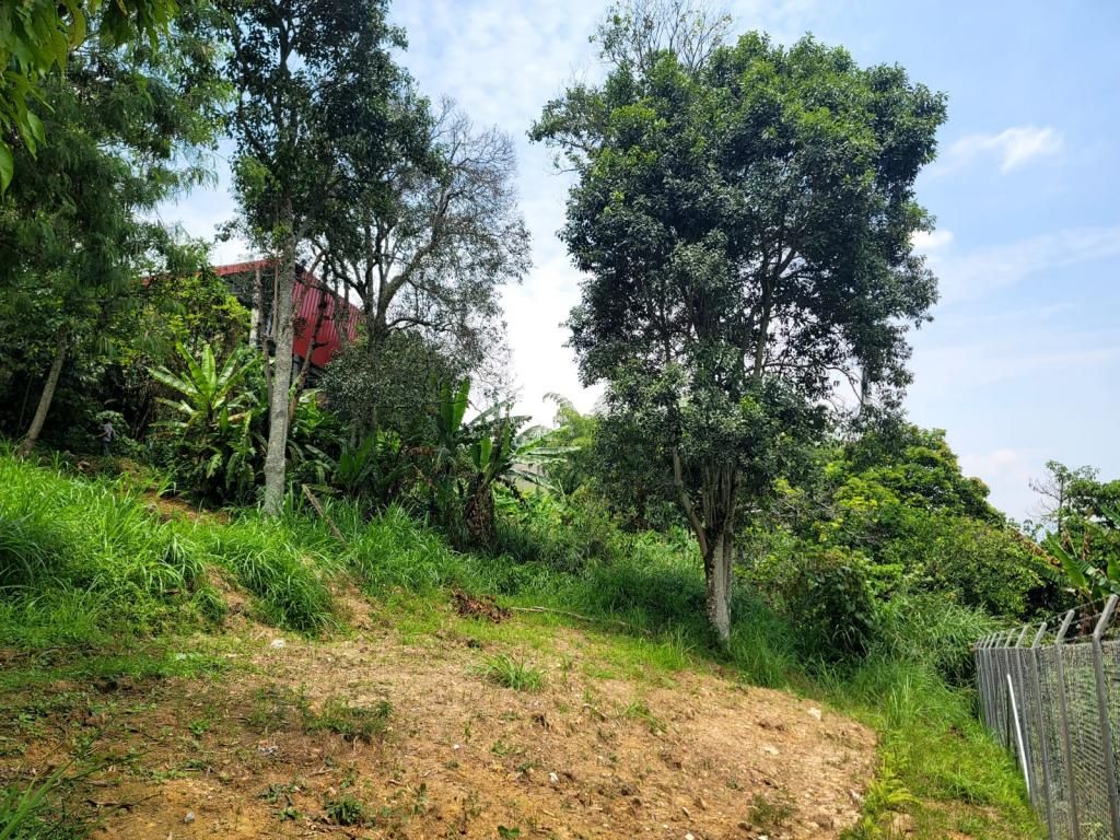 Lote en venta Antioquia Envigado El Salado 990 m2 Habitaciones 0 Baños 0 Garajes 0 Precio $548000000