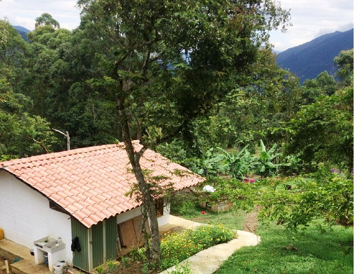 Finca en venta Antioquia Angelópolis Angelopolis 130 m2 Habitaciones 3 Baños 4 Garajes 6 Precio $520000000