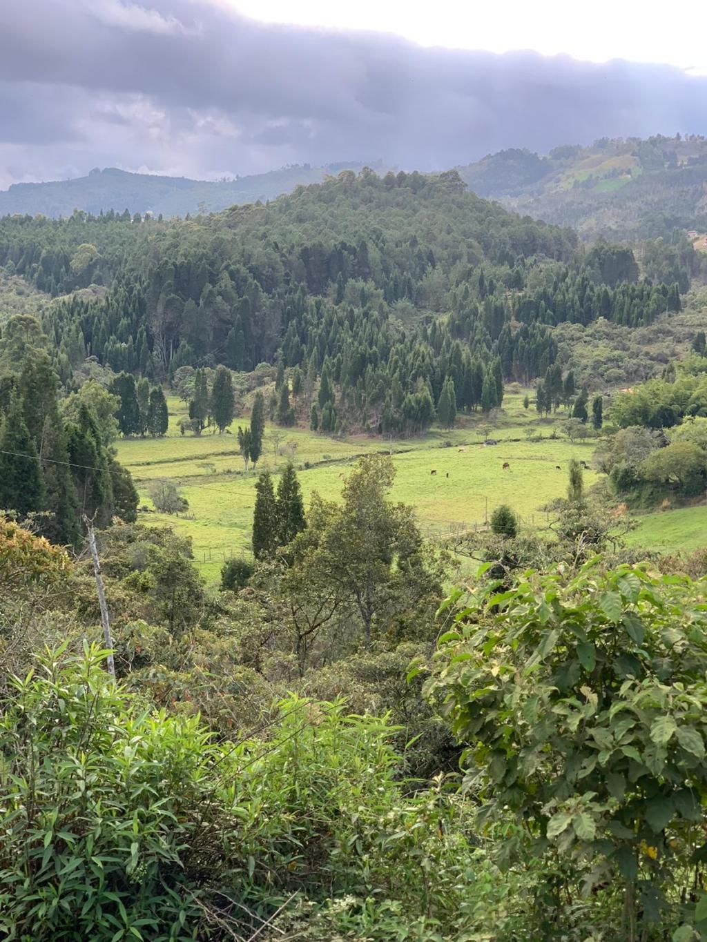 Lote en venta Antioquia Guarne Guarne 58082 m2 Habitaciones 0 Baños 0 Garajes 0 Precio $3949000000