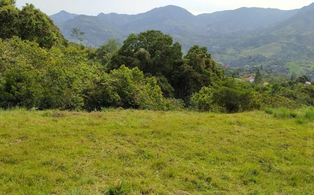 Lote en venta Antioquia Barbosa Centro 14520 m2 Habitaciones 0 Baños 0 Garajes 0 Precio $690000000