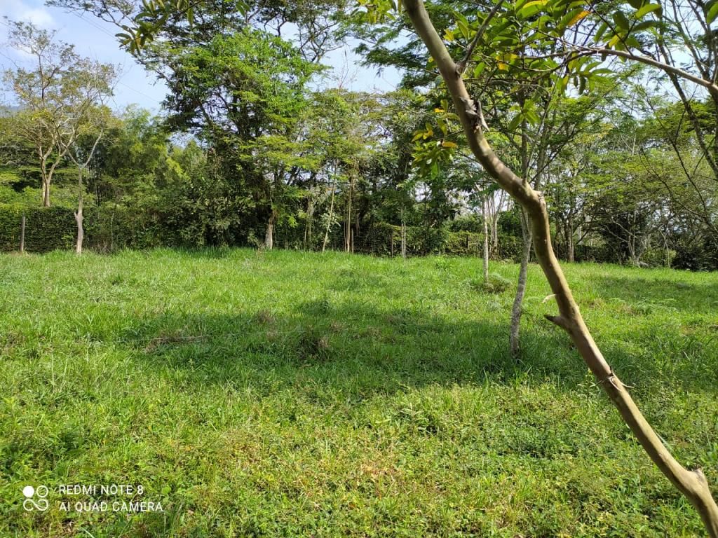 Lote en venta Antioquia Barbosa Barbosa 19200 m2 Habitaciones 0 Baños 0 Garajes 0 Precio $956000000