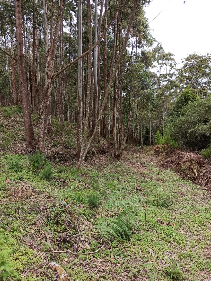 Lote en venta Antioquia Medellín La Candelaria 3500 m2 Habitaciones 0 Baños 0 Garajes 0 Precio $2800000000