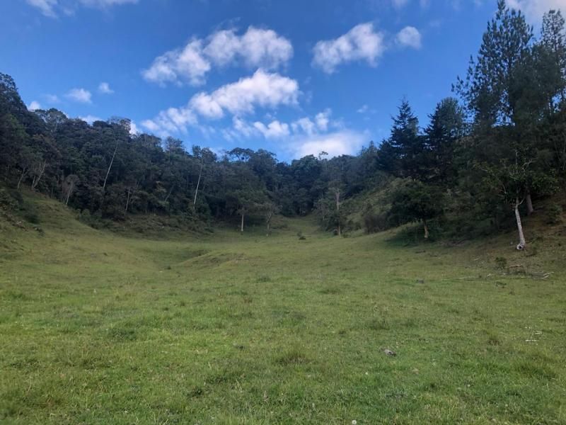 Lote en venta Antioquia El Retiro El Retiro 237510 m2 Habitaciones 0 Baños 0 Garajes 0 Precio $8312000000