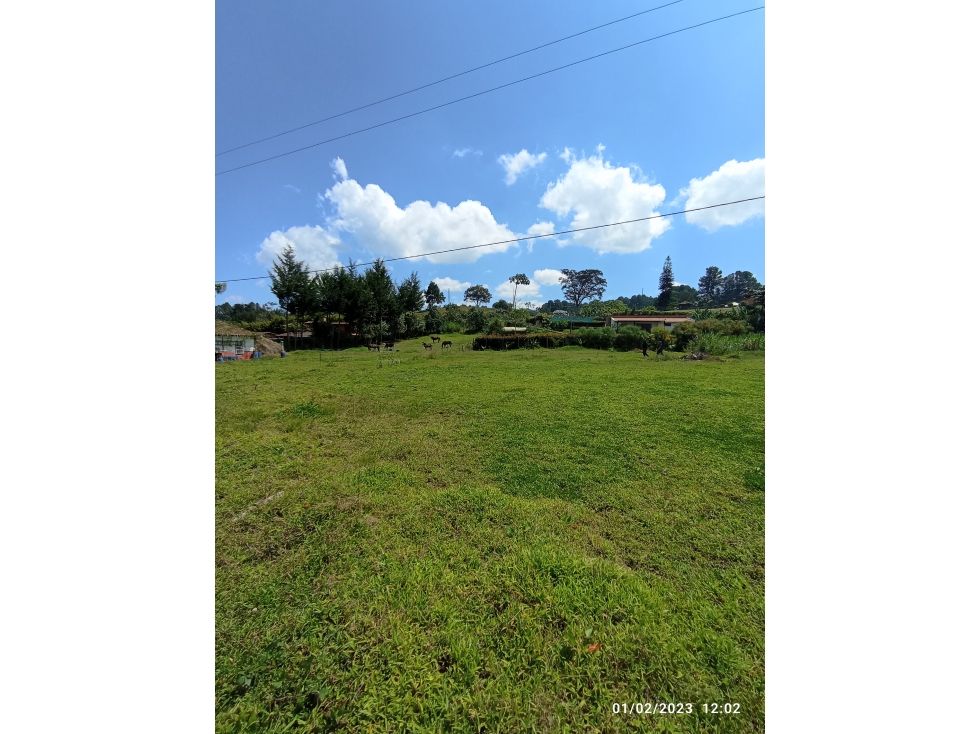 Lote en venta Antioquia La Ceja San Cayetano 2500 m2 Habitaciones 0 Baños 0 Garajes 0 Precio $600000000