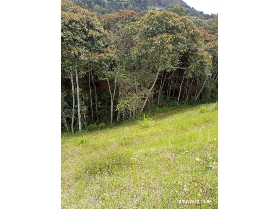 Lote en venta Antioquia La Ceja La Ceja 2762 m2 Habitaciones 0 Baños 0 Garajes 0 Precio $560000000
