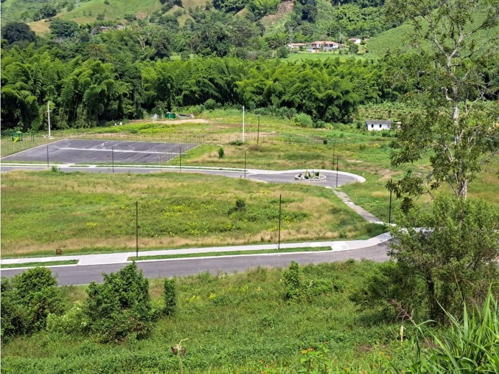 Lote en venta Caldas Chinchiná Chinchiná 1130 m2 Habitaciones 0 Baños 0 Garajes 0 Precio $450000000