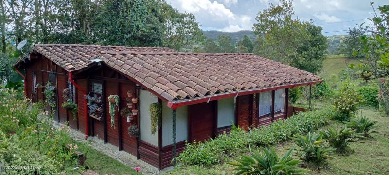 Casa en venta Antioquia San Pedro San Pedro 6400 m2 Habitaciones 3 Baños 2 Garajes 0 Precio $650000000