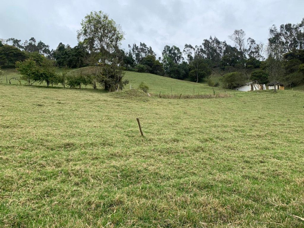 Finca en venta Cundinamarca Zipacón Zipacón 85 m2 Habitaciones 2 Baños 3 Garajes 0 Precio $500000000