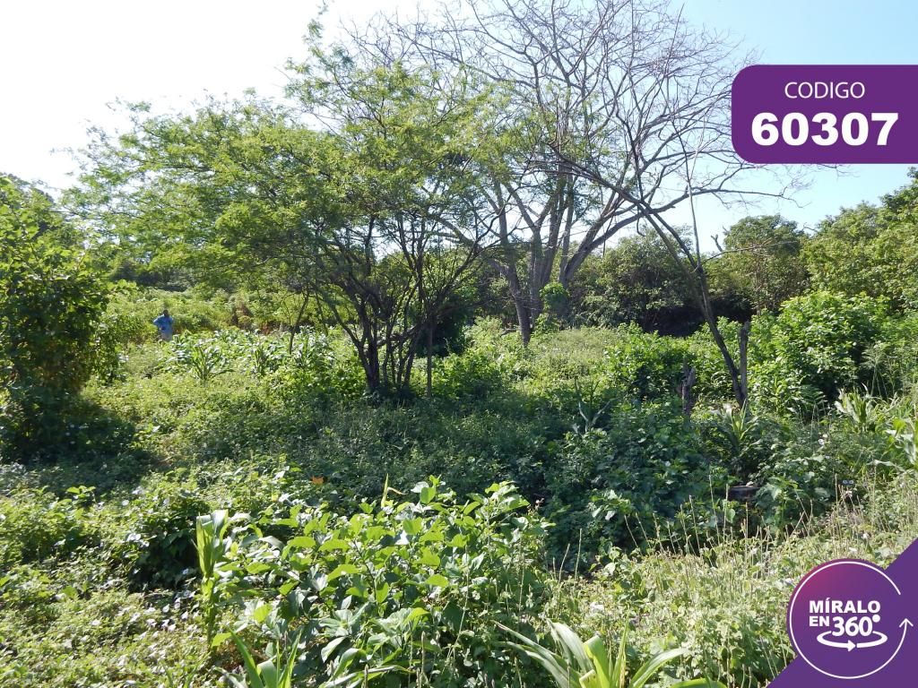 Lote en venta Atlántico Puerto Colombia Puerto Colombia 0 m2 Habitaciones 0 Baños 0 Garajes 0 Precio $52680000000