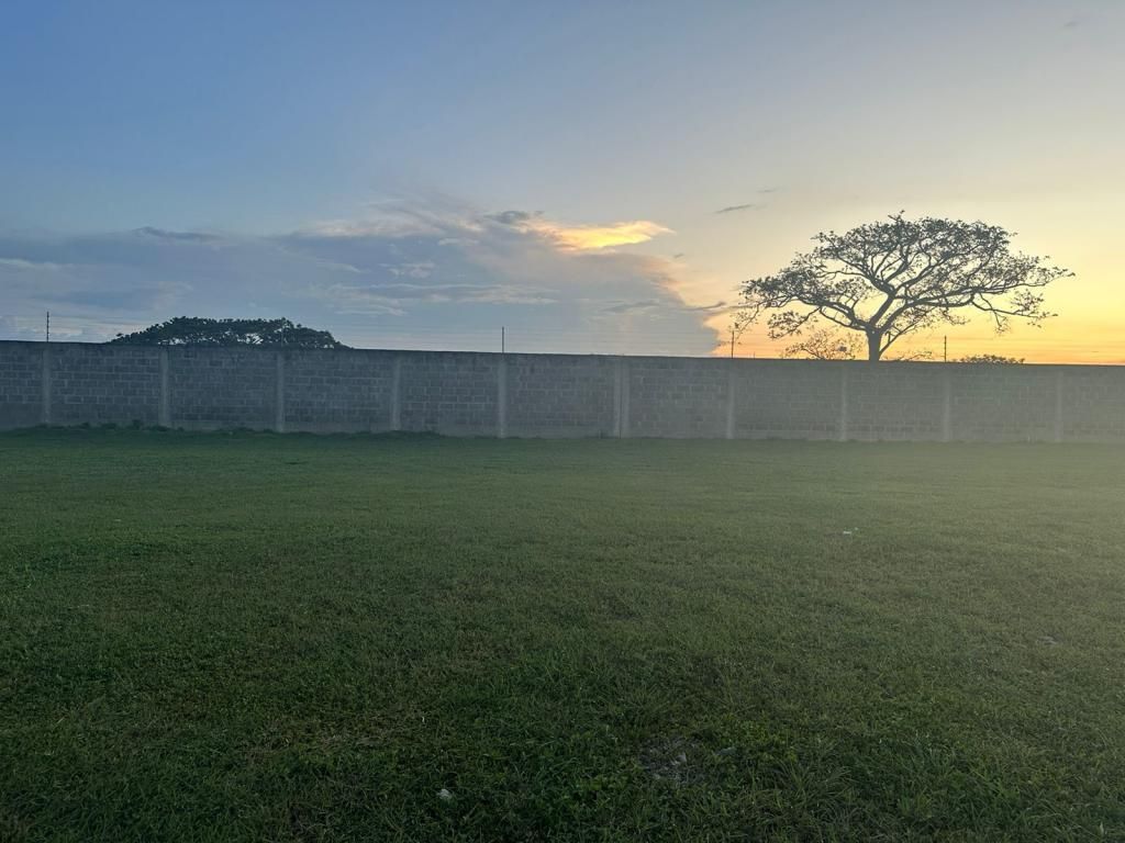 Lote en venta Atlántico Baranoa Piñique 278 m2 Habitaciones 0 Baños 0 Garajes 0 Precio $80000000