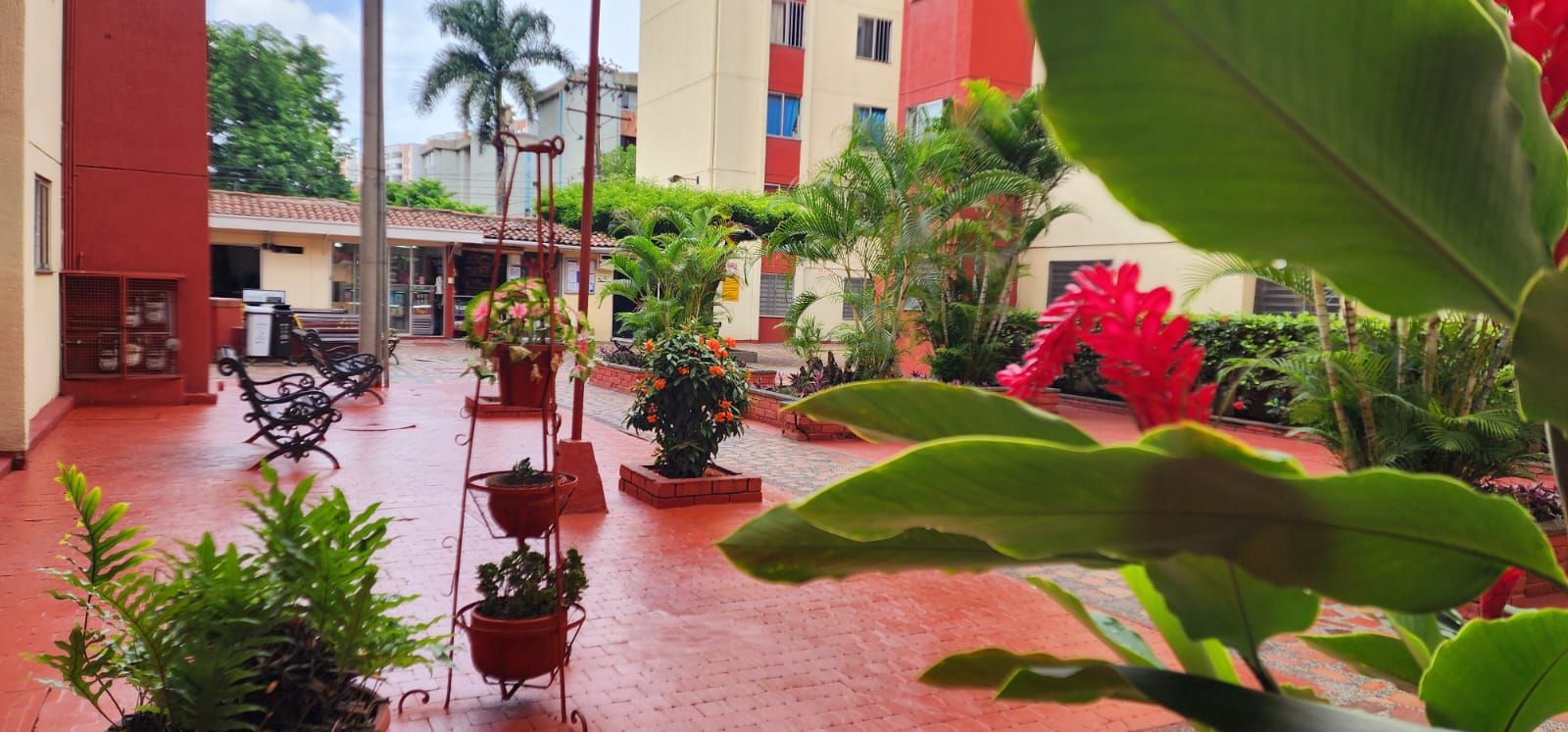 Apartamento en venta Valle Del Cauca Cali Prados Del Norte 71 m2 Habitaciones 3 Baños 2 Garajes 1 Precio $249000000