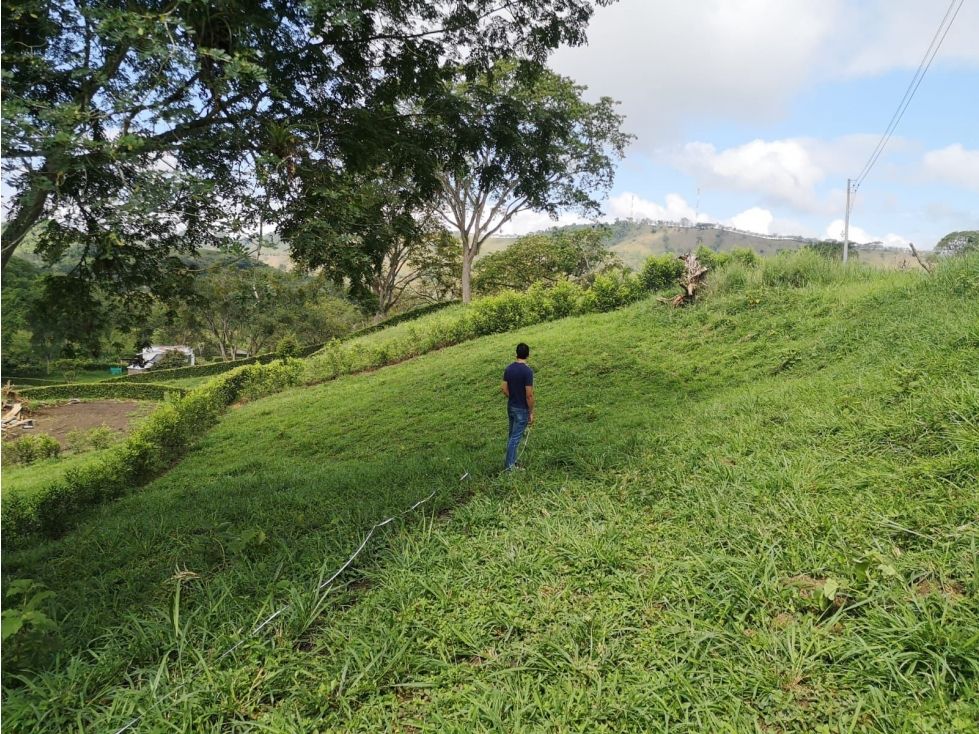 Lote en venta Caldas Manizales Palo Grande 1118 m2 Habitaciones 0 Baños 0 Garajes 0 Precio $169000000