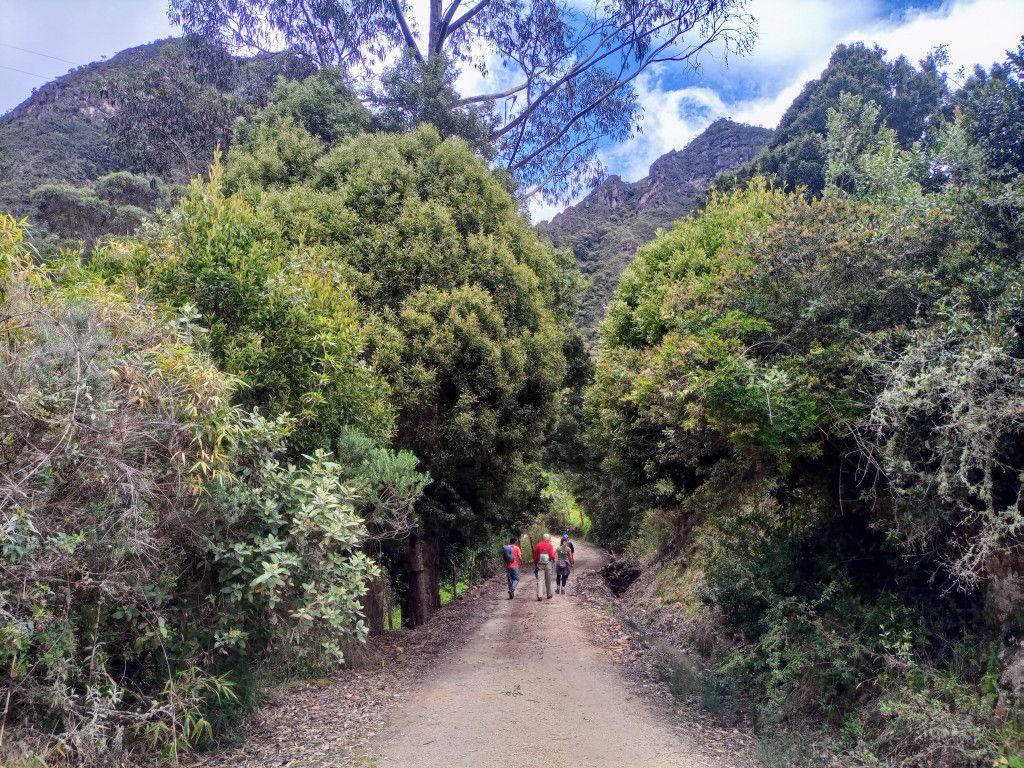 Lote en venta Cundinamarca Sesquilé Sesquile 1 m2 Habitaciones 0 Baños 0 Garajes 0 Precio $950000000