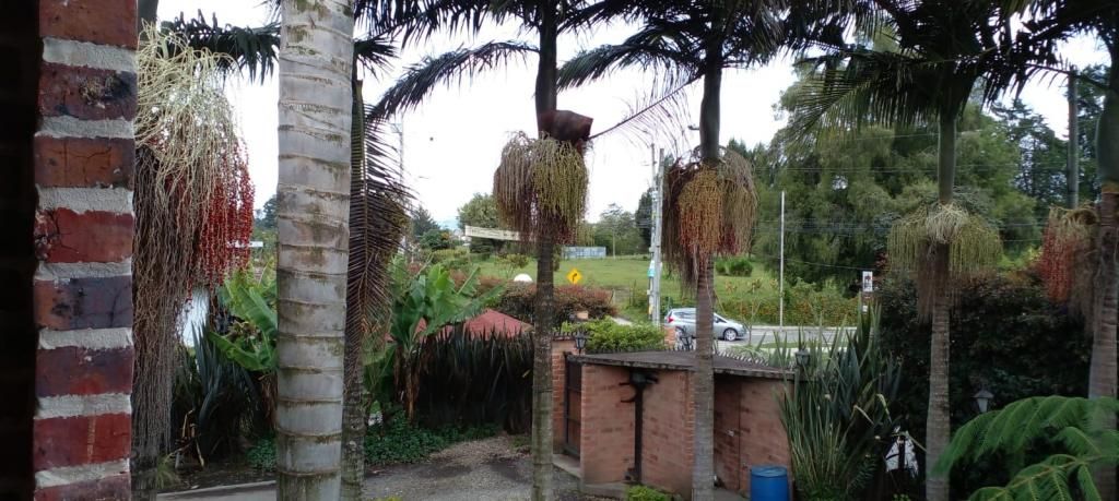 Finca en venta Antioquia Rionegro Rionegro 310 m2 Habitaciones 3 Baños 3 Garajes 1 Precio $1480000000