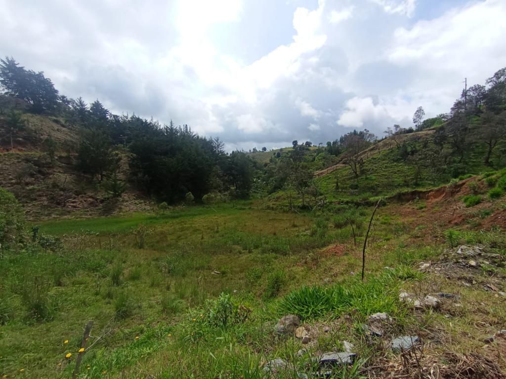 Lote en venta Antioquia Rionegro Rionegro 2000 m2 Habitaciones 0 Baños 0 Garajes 0 Precio $320000000