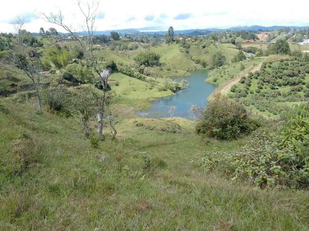 Lote en venta Antioquia Peñol Peñol 35000 m2 Habitaciones 0 Baños 0 Garajes 0 Precio $3200000000