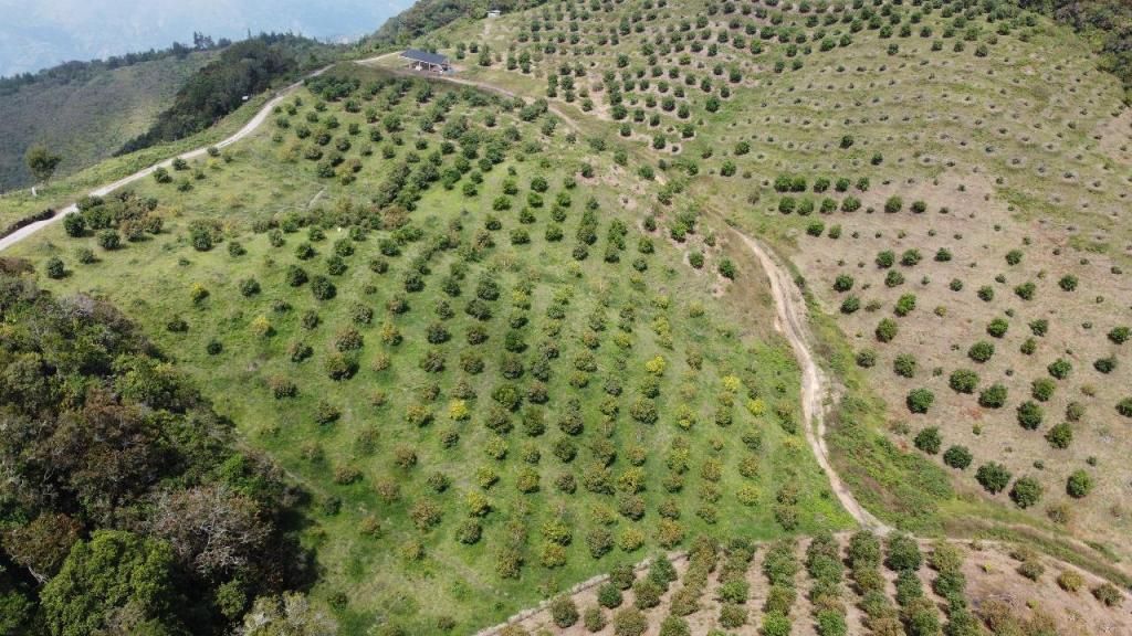 Lote en venta Antioquia Abejorral Abejorral 430000 m2 Habitaciones 0 Baños 0 Garajes 0 Precio $1720000000