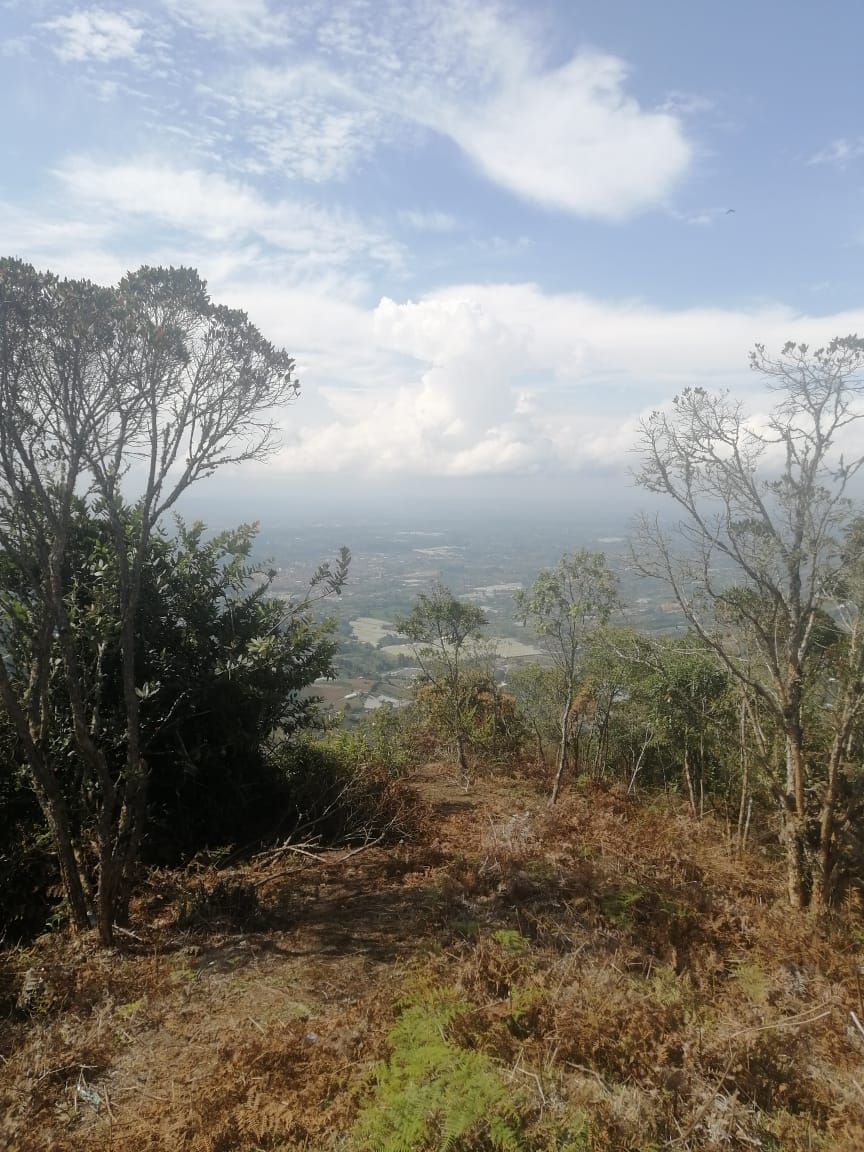 Lote en venta Antioquia El Carmen De Viboral El Centro 10500 m2 Habitaciones 0 Baños 0 Garajes 0 Precio $300000000
