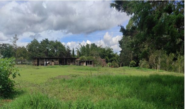 Lote en venta Antioquia Rionegro Cuatro Esquinas 4219 m2 Habitaciones 0 Baños 0 Garajes 0 Precio $1400000000