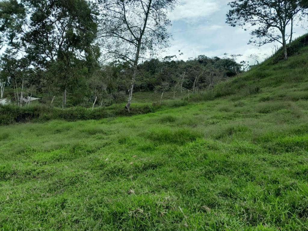 Lote en venta Antioquia El Carmen De Viboral El Centro 90000 m2 Habitaciones 0 Baños 0 Garajes 0 Precio $3500000000