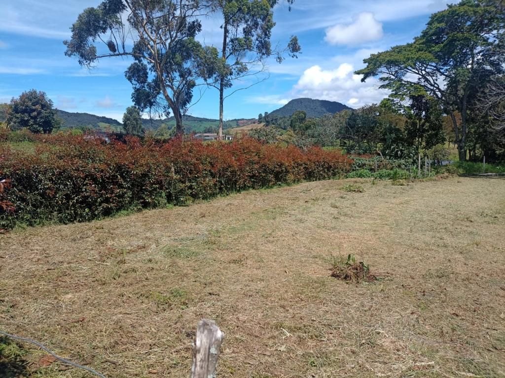 Lote en venta Antioquia La Unión La Unión 500 m2 Habitaciones 0 Baños 0 Garajes 0 Precio $230000000