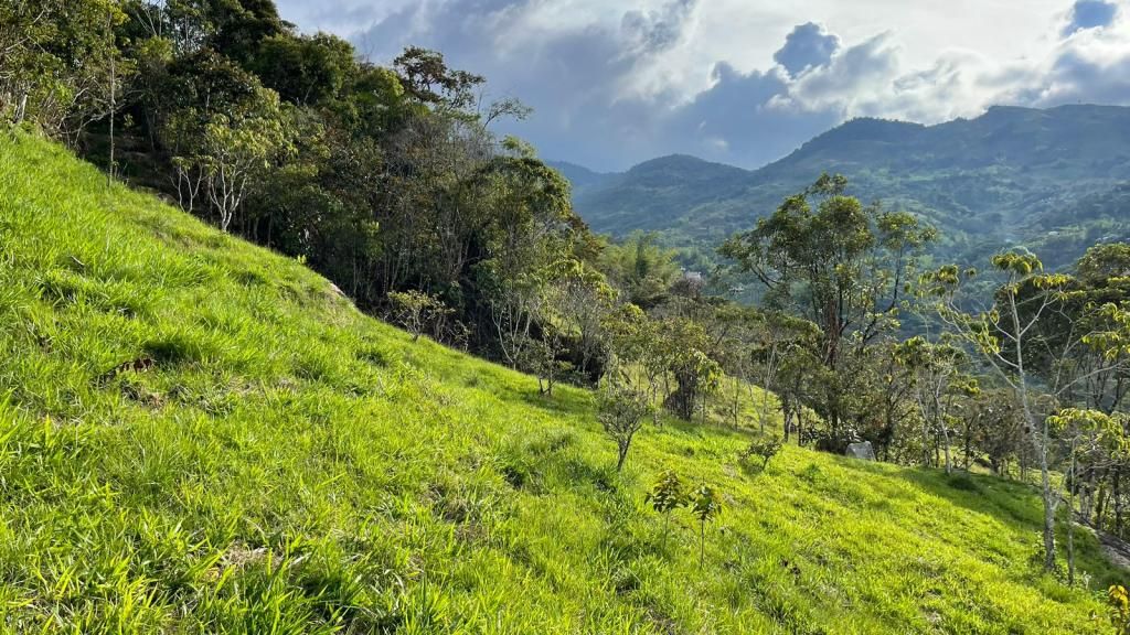 Lote en venta Antioquia Cocorná Cocorna 2 m2 Habitaciones 0 Baños 0 Garajes 0 Precio $150000000