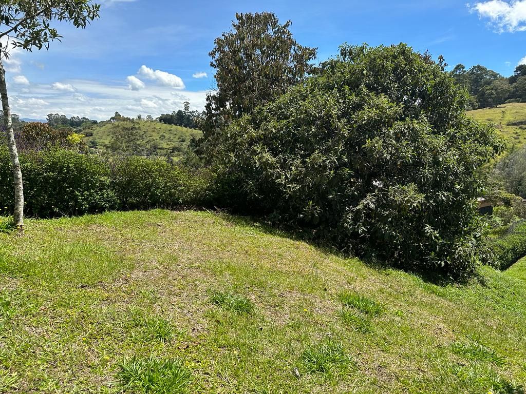 Lote en venta Antioquia Rionegro Rionegro 2100 m2 Habitaciones 0 Baños 0 Garajes 0 Precio $750000000