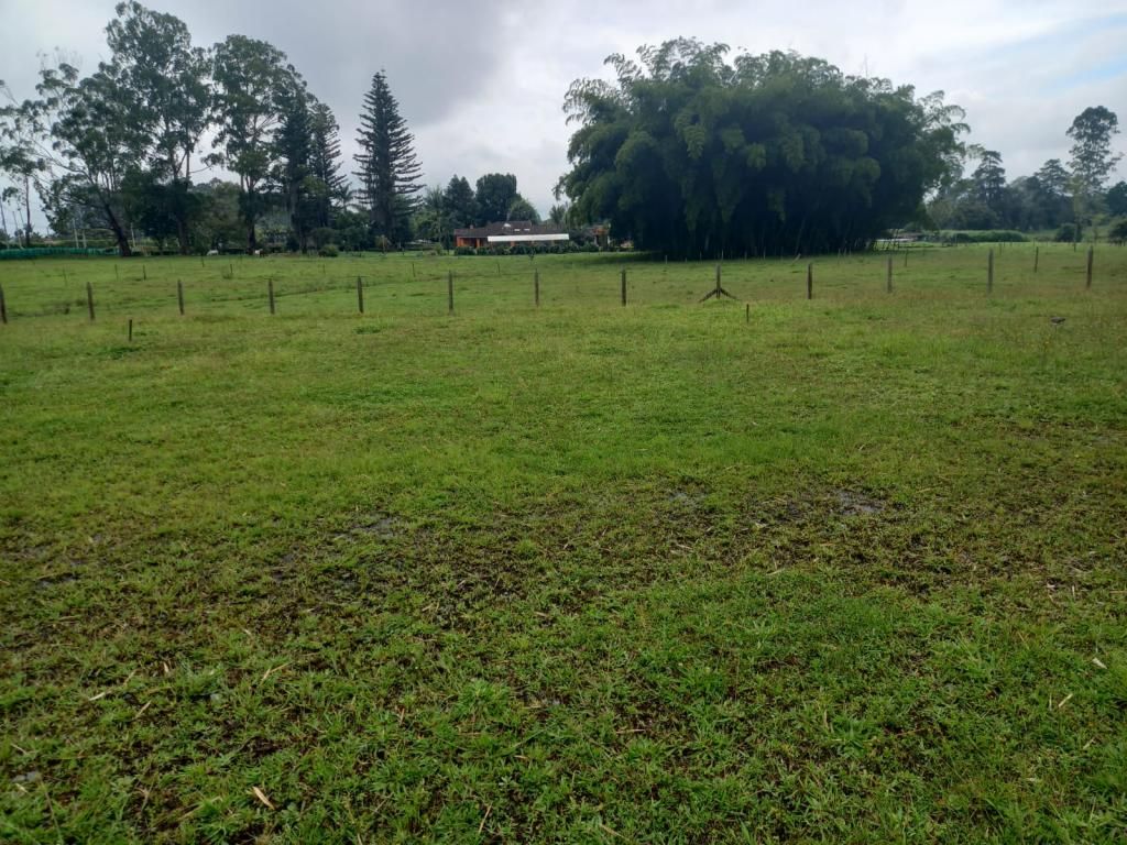 Lote en venta Antioquia Rionegro Rionegro 98 m2 Habitaciones 0 Baños 0 Garajes 0 Precio $430000000