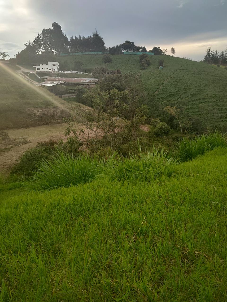 Lote en venta Antioquia El Carmen De Viboral El Centro 0 m2 Habitaciones 0 Baños 0 Garajes 0 Precio $430000000