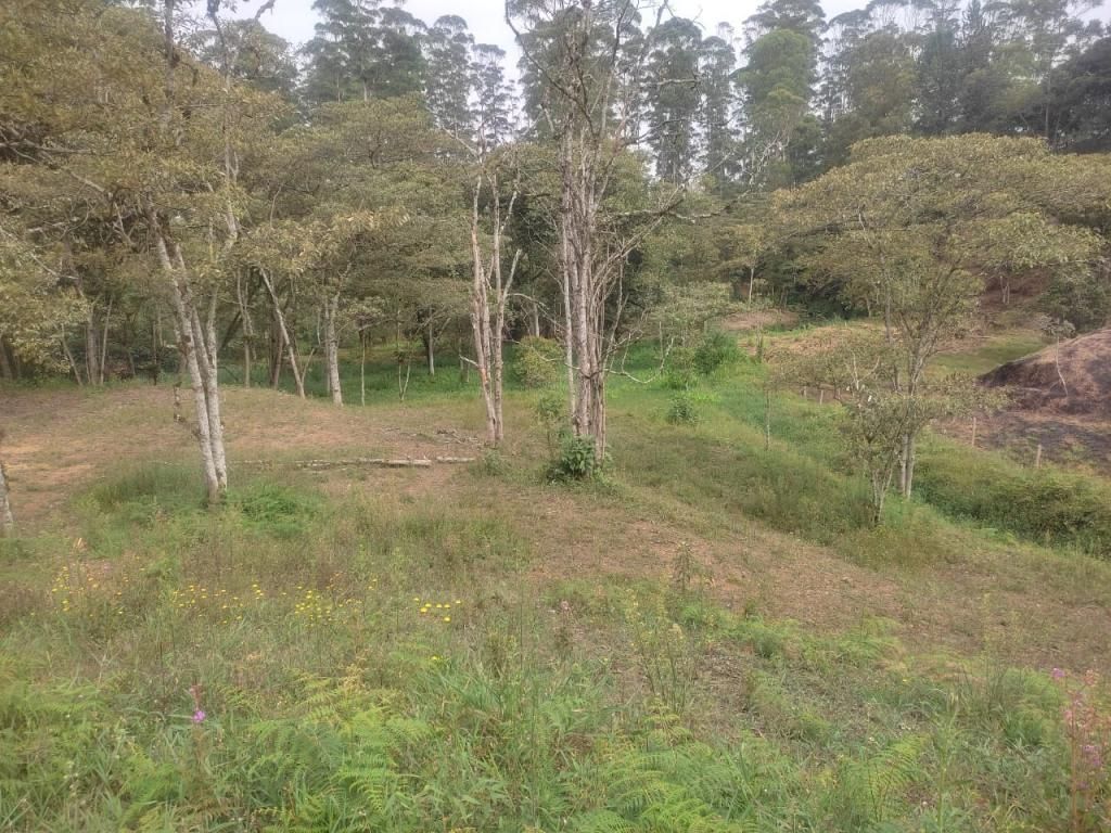 Lote en venta Antioquia Marinilla La Industrial 0 m2 Habitaciones 0 Baños 0 Garajes 0 Precio $550000000