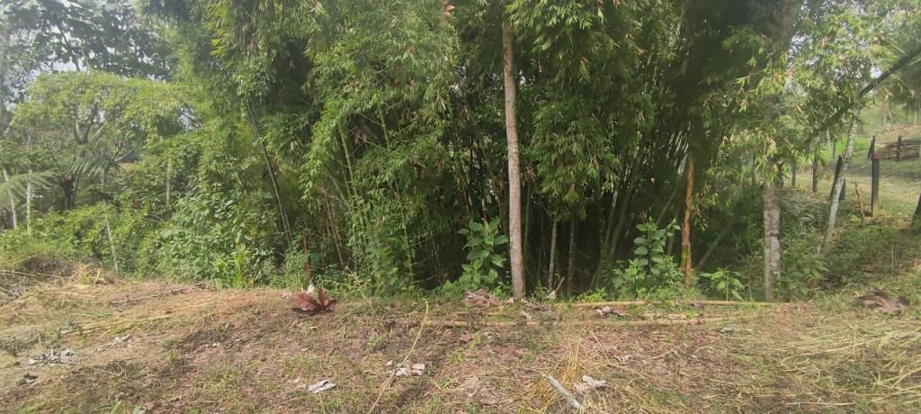 Lote en venta Antioquia El Carmen De Viboral El Centro 0 m2 Habitaciones 0 Baños 0 Garajes 0 Precio $580000000