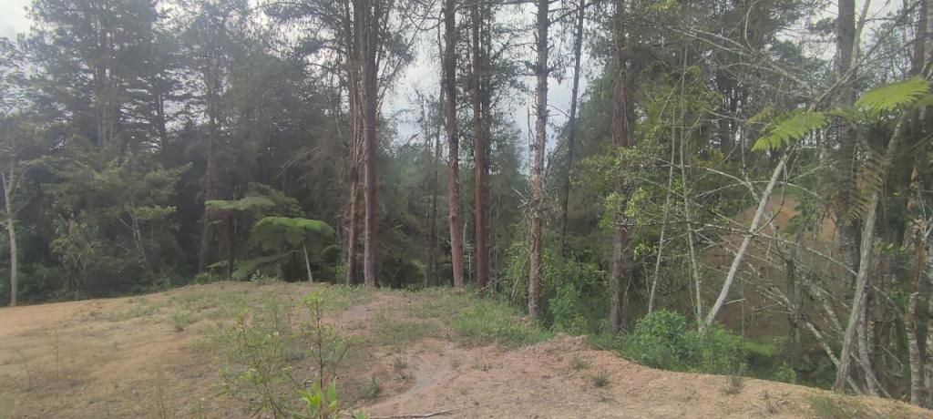 Lote en venta Antioquia El Carmen De Viboral El Centro 0 m2 Habitaciones 0 Baños 0 Garajes 0 Precio $580000000