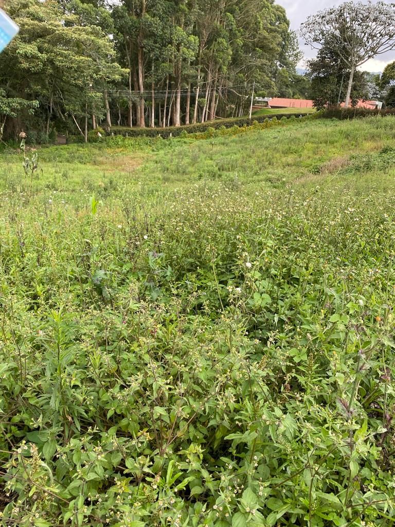 Lote en venta Antioquia El Carmen De Viboral El Centro 0 m2 Habitaciones 0 Baños 0 Garajes 0 Precio $370000000