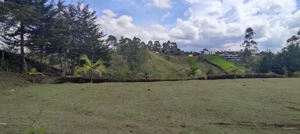 Lote en venta Antioquia El Carmen De Viboral El Centro 0 m2 Habitaciones 0 Baños 0 Garajes 0 Precio $415000000