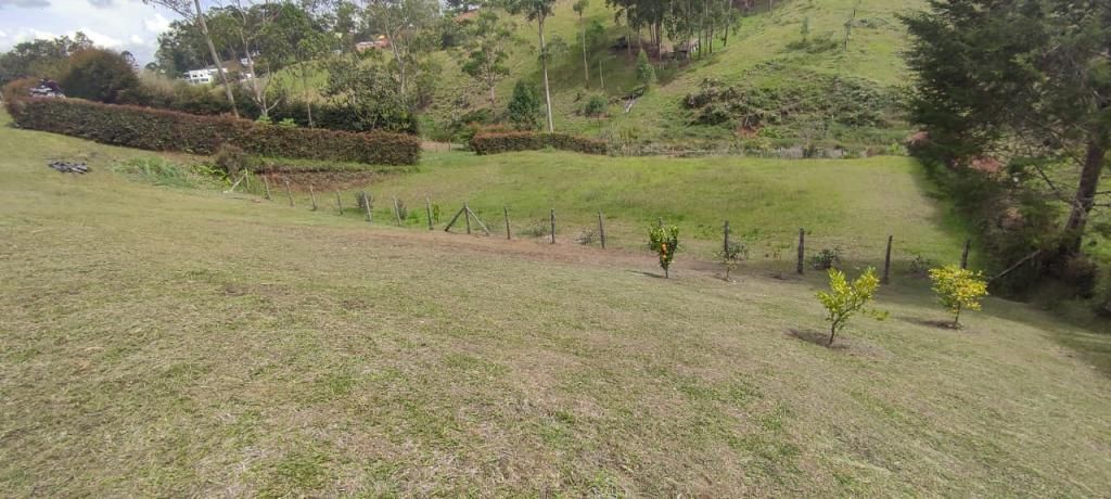 Lote en venta Antioquia El Carmen De Viboral El Centro 0 m2 Habitaciones 0 Baños 0 Garajes 0 Precio $415000000