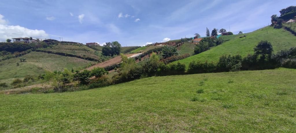Lote en venta Antioquia El Carmen De Viboral El Centro 0 m2 Habitaciones 0 Baños 0 Garajes 0 Precio $426250000