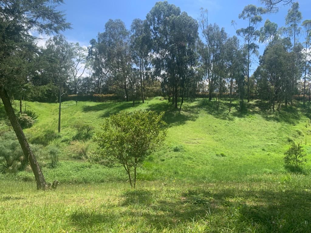 Lote en venta Antioquia Rionegro Rionegro 0 m2 Habitaciones 0 Baños 0 Garajes 0 Precio $1489000000