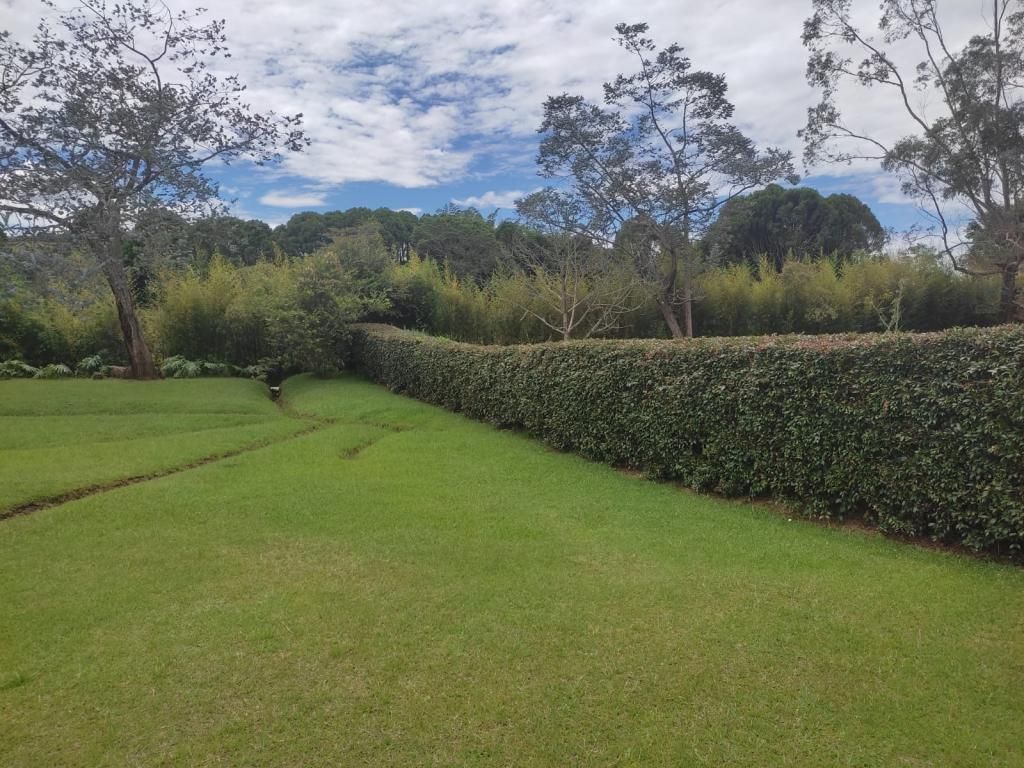 Finca en venta Antioquia Rionegro Rionegro 20 m2 Habitaciones 0 Baños 0 Garajes 0 Precio $1950000000