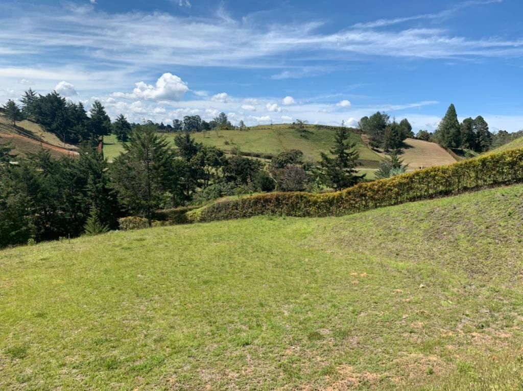 Lote en venta Antioquia Rionegro Santa Ana 0 m2 Habitaciones 0 Baños 0 Garajes 0 Precio $620000000
